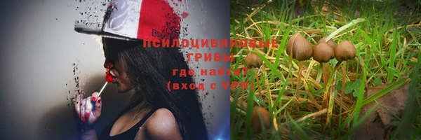 Альфа ПВП Арсеньев