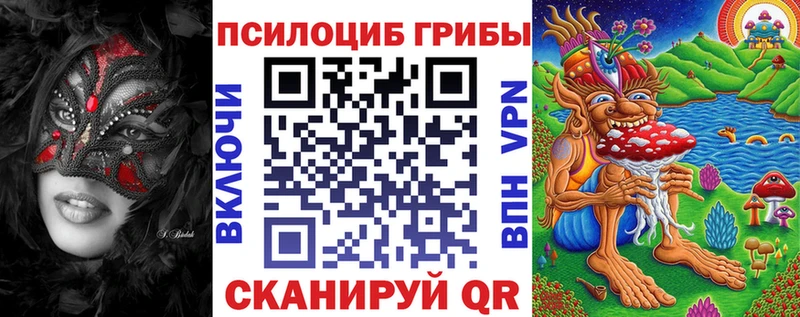закладки  Исилькуль  Псилоцибиновые грибы GOLDEN TEACHER 